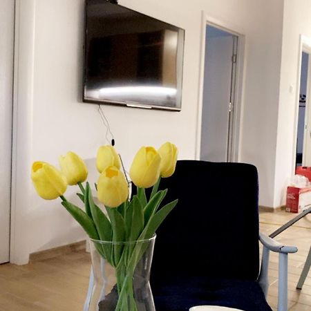 Vanja Apartman Vrsac Ngoại thất bức ảnh