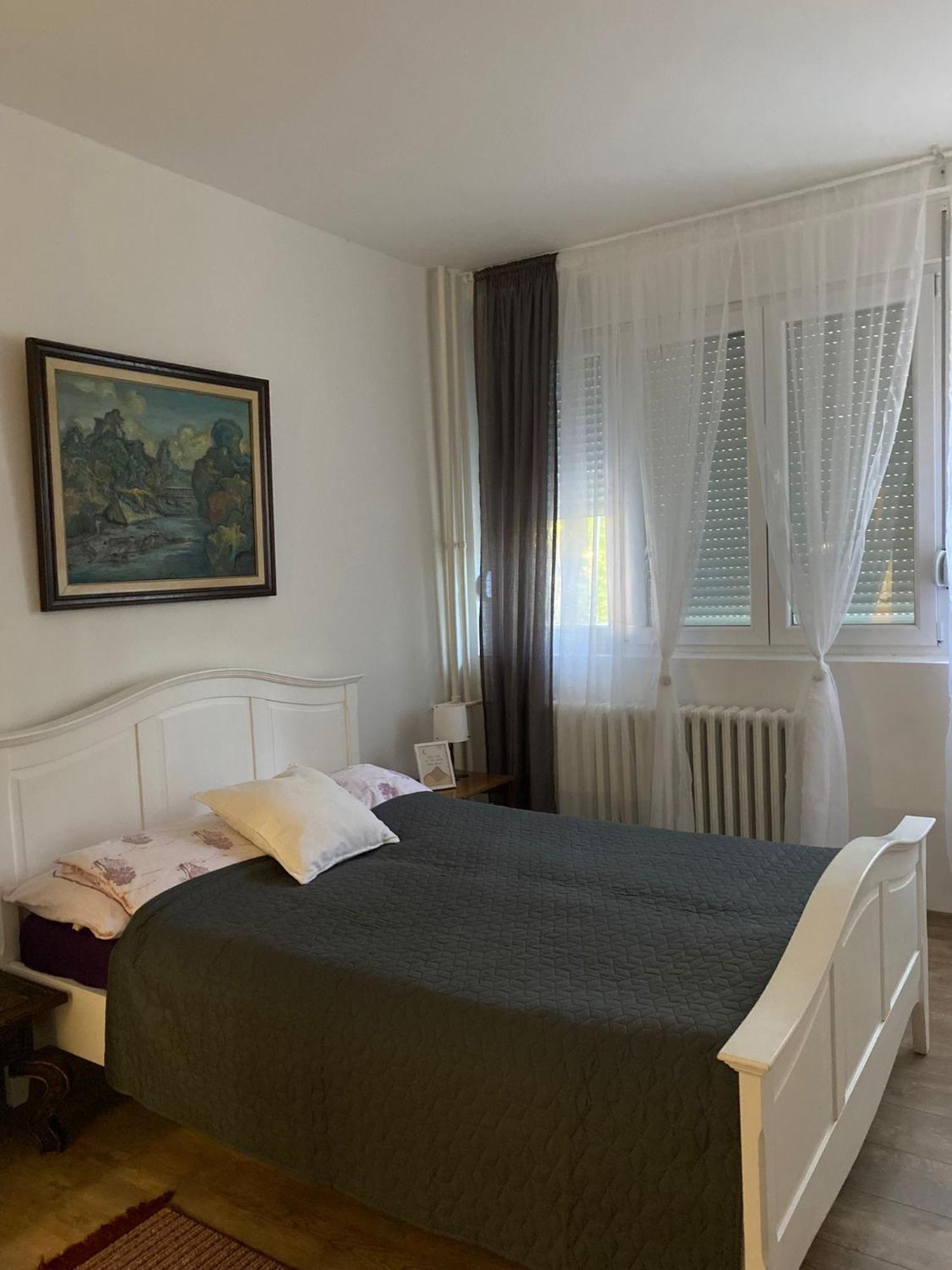 Vanja Apartman Vrsac Ngoại thất bức ảnh