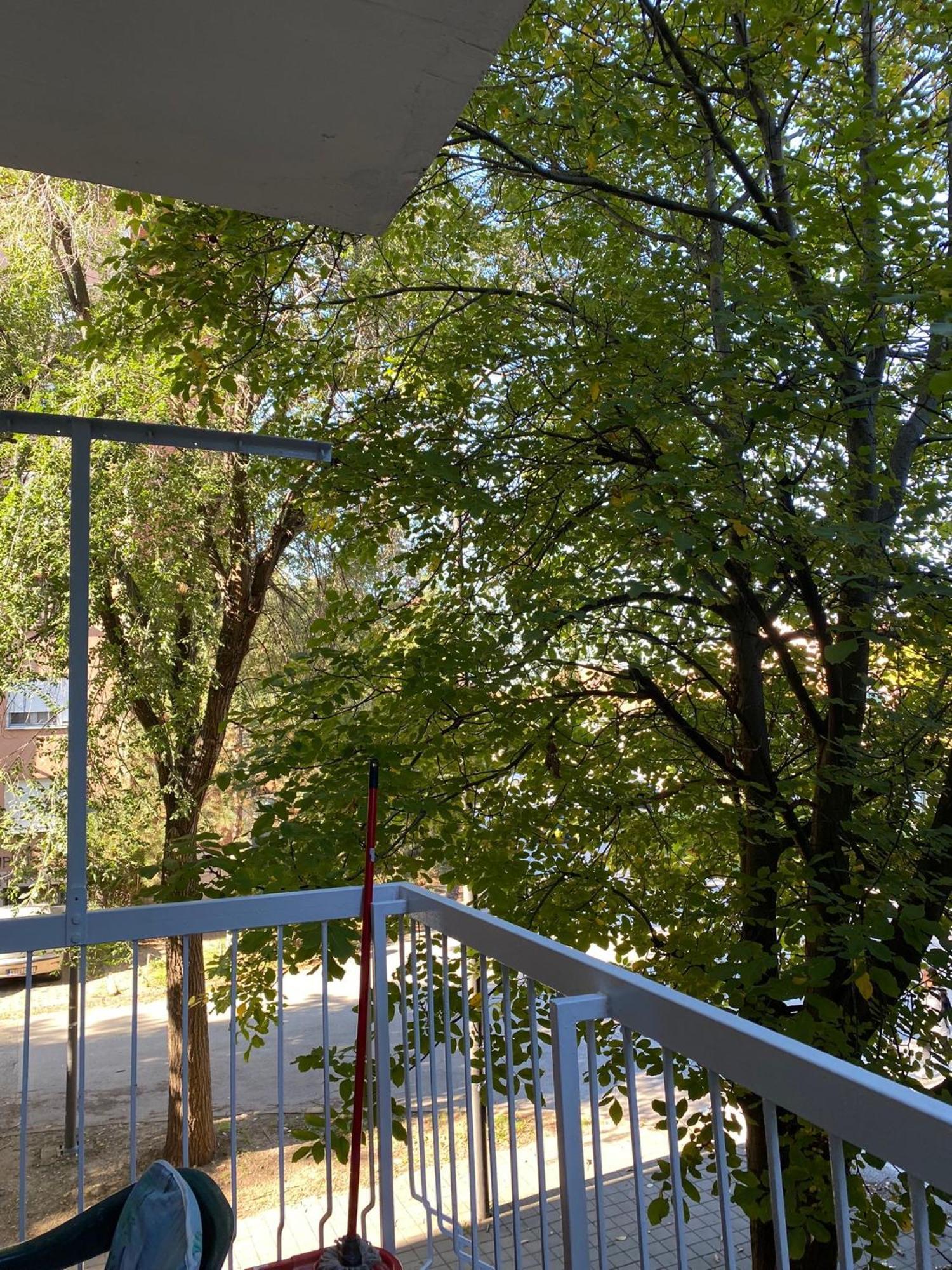 Vanja Apartman Vrsac Ngoại thất bức ảnh